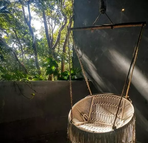 Aamiaismajoitus (B&B) Casa Vive Bacalar