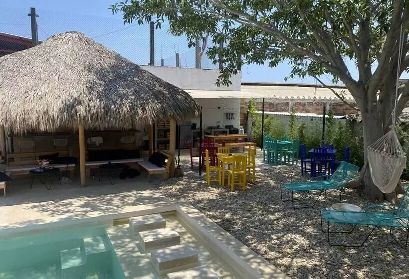 Colorada House   Hostel