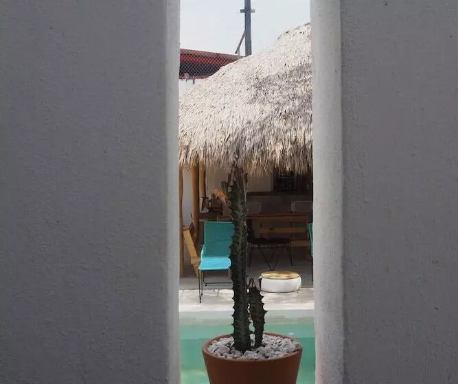 Colorada House   Hostel