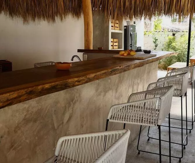 Colorada House   Hostel