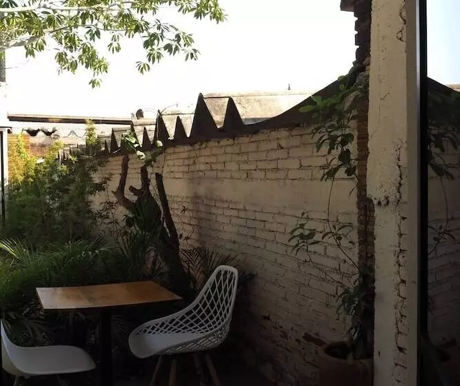 Colorada House   Hostel