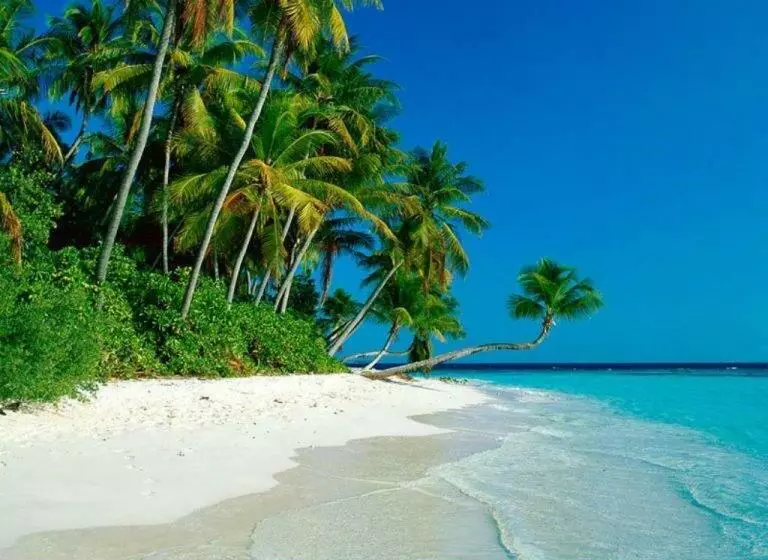 ペンション Altrude Villa Guest House Near Candolim Beach