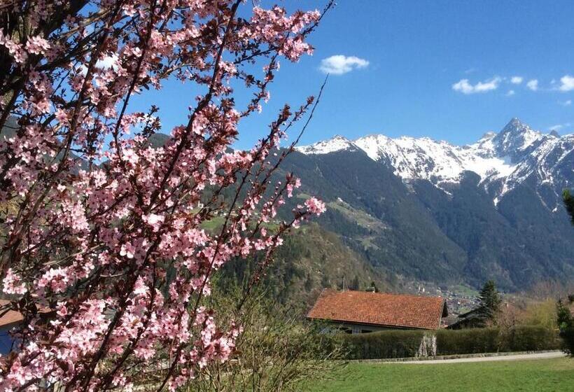 پانسیون Double Room With A Kitchenette In A Beautiful Surrounding