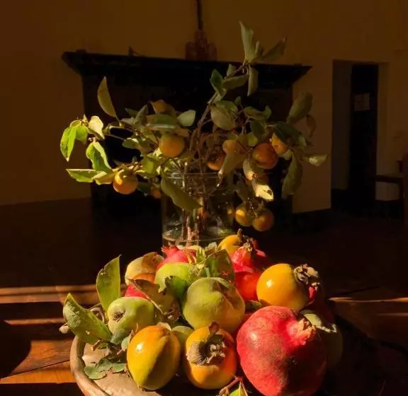 هتل Fattoria Monastero Sant Anna In Camprena