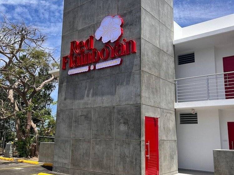 پانسیون Red Flamboyan Guesthouse And Restaurant