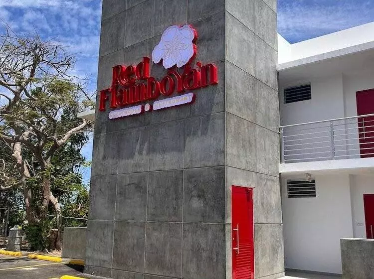 پانسیون Red Flamboyan Guesthouse And Restaurant