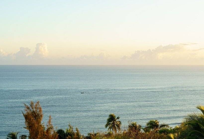 پانسیون Red Flamboyan Guesthouse And Restaurant