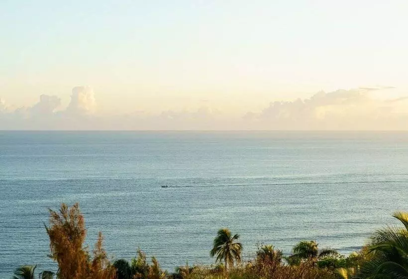 پانسیون Red Flamboyan Guesthouse And Restaurant