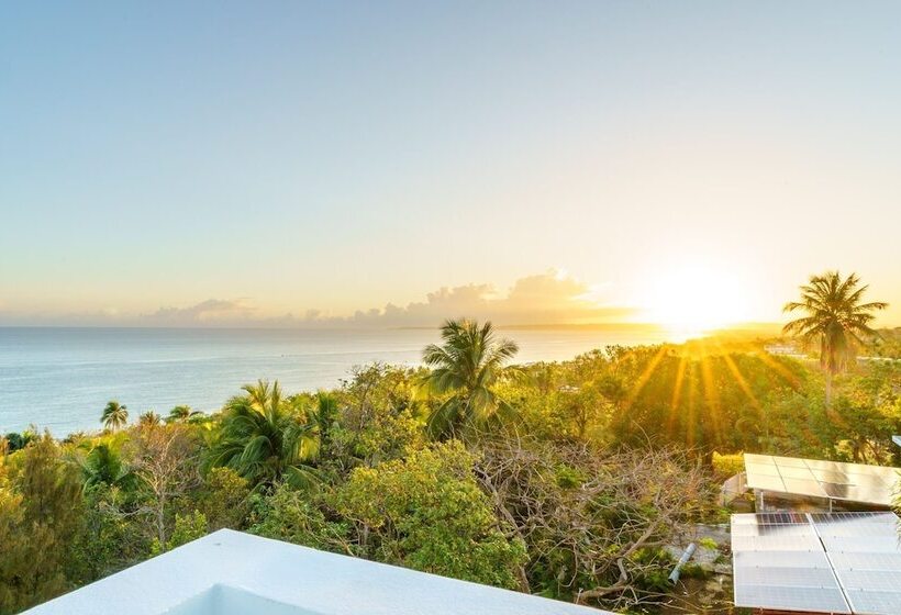 پانسیون Red Flamboyan Guesthouse And Restaurant