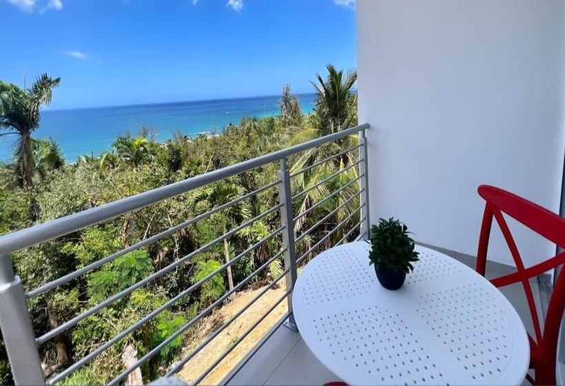 پانسیون Red Flamboyan Guesthouse And Restaurant