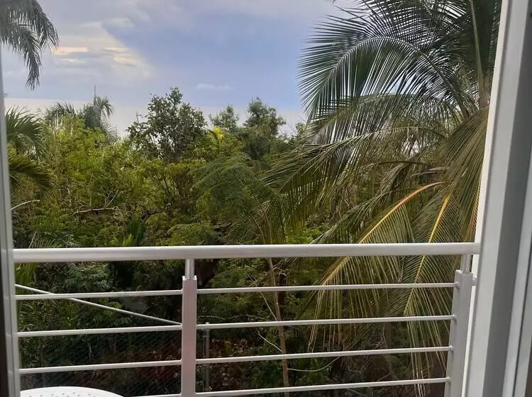 پانسیون Red Flamboyan Guesthouse And Restaurant