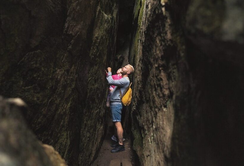 Break Sokos Hotel Koli Kylä