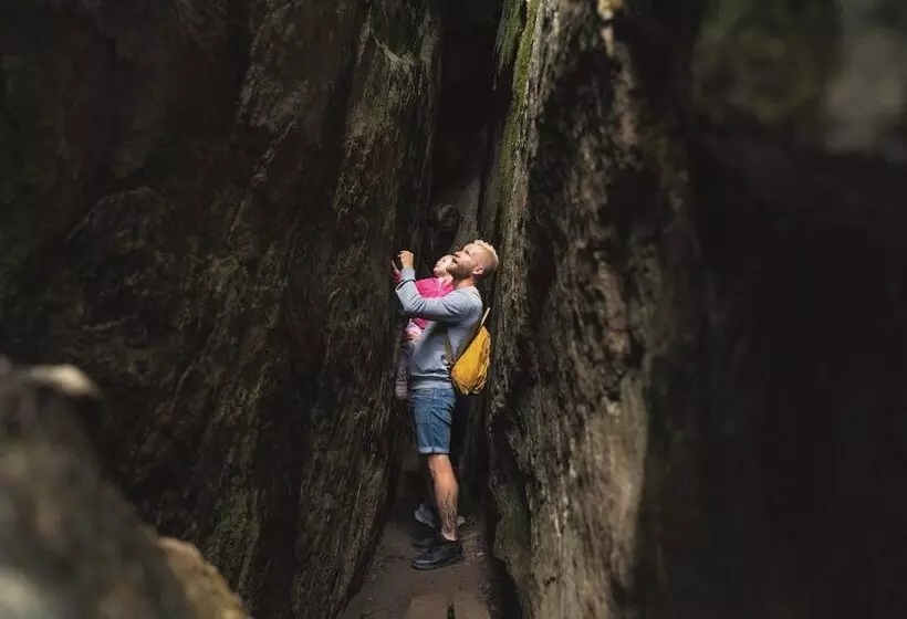 Break Sokos Hotel Koli Kylä