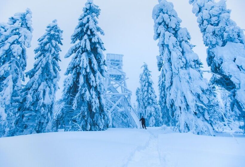 Break Sokos Hotel Koli Kylä