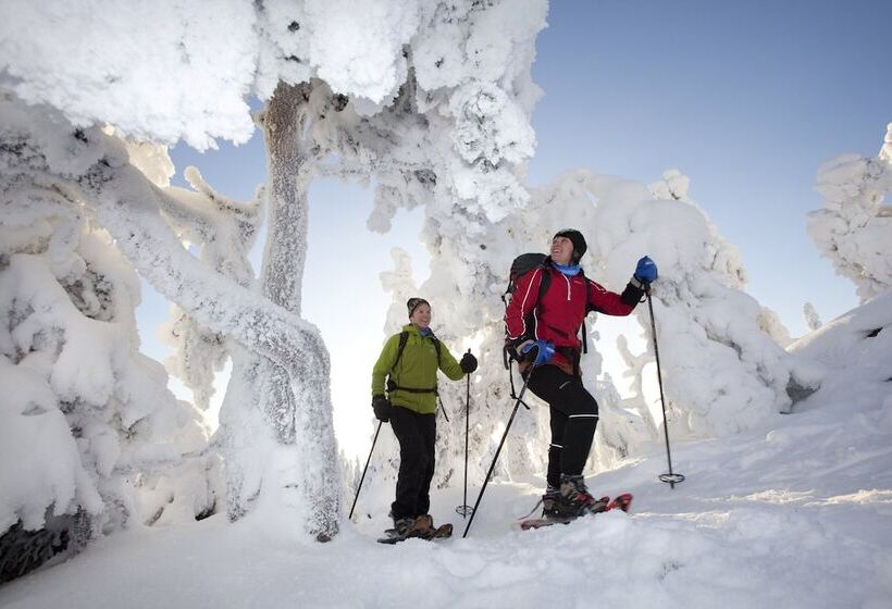 Break Sokos Hotel Koli Kylä