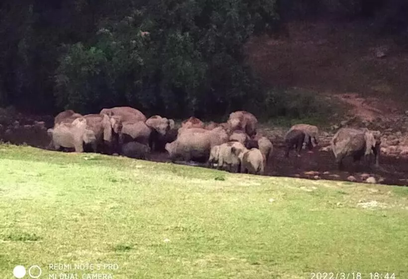 Hotelli Mountain View Cottage Mankulam