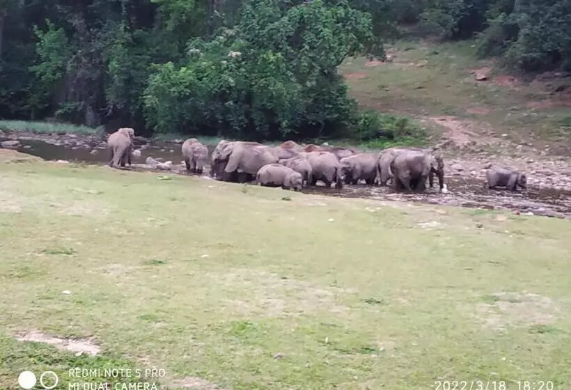 Hotelli Mountain View Cottage Mankulam