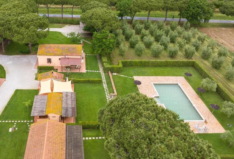 ホテル Isolotto   Appartamento Olivo