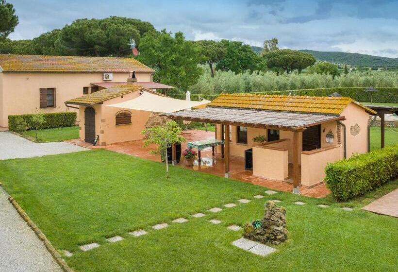 ホテル Isolotto   Appartamento Olivo