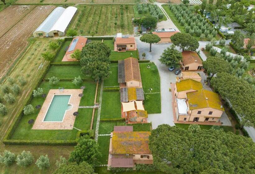 ホテル Isolotto   Appartamento Olivo