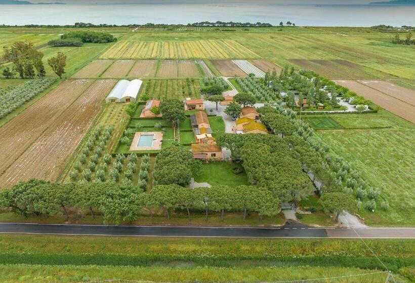 ホテル Isolotto   Appartamento Olivo