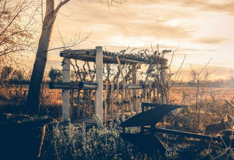 Alberg Bodega Haarth