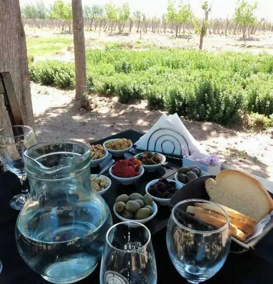 Herberge Bodega Haarth