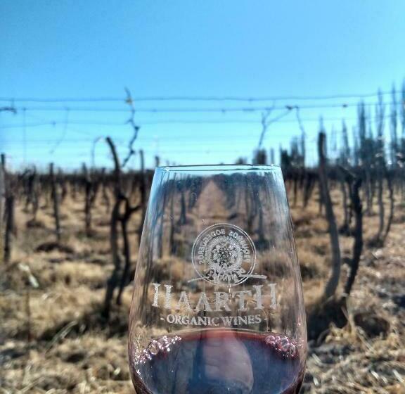 Alberg Bodega Haarth