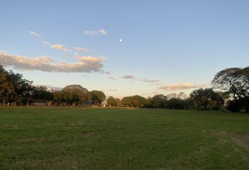 هتل Del Aserradero