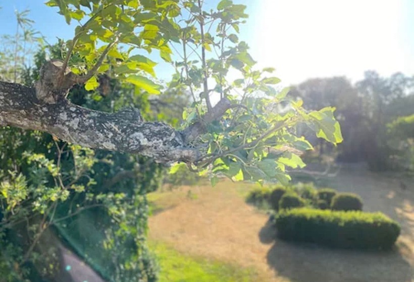 هتل Del Aserradero