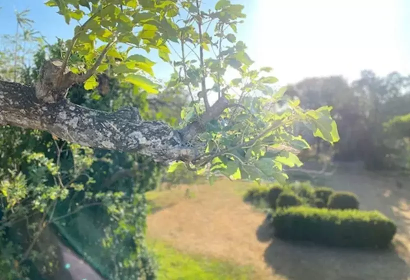 Hotelli Del Aserradero