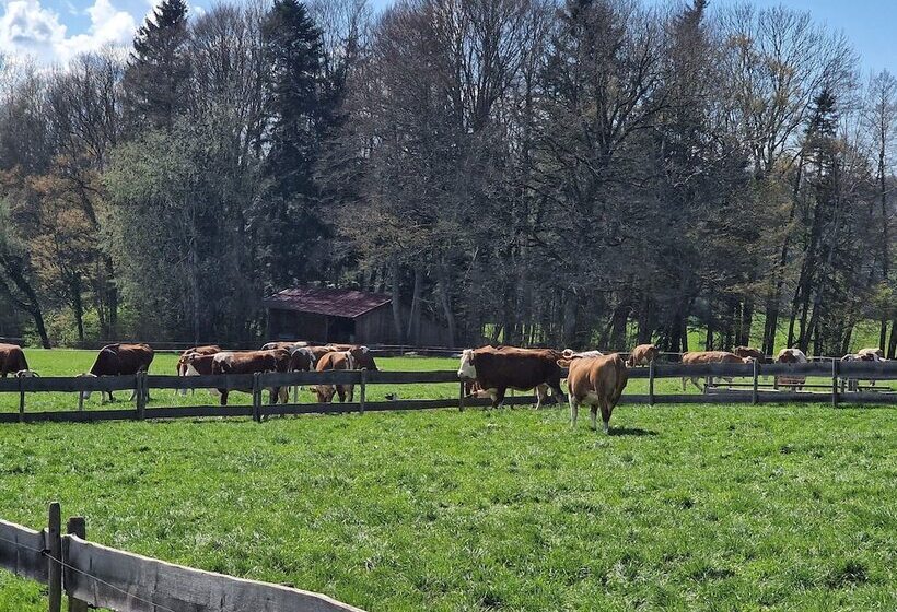 פנסיון Seeberghof