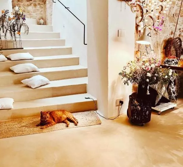 Aamiaismajoitus (B&B) Hydria Guest House Art Gallery