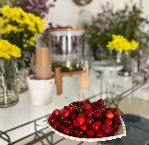 Aamiaismajoitus (B&B) Hydria Guest House Art Gallery