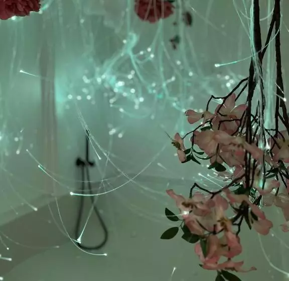 Aamiaismajoitus (B&B) Hydria Guest House Art Gallery