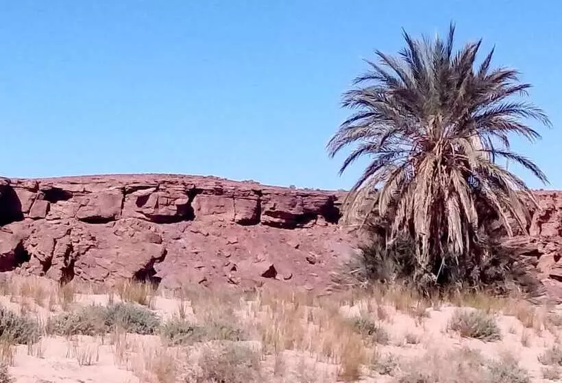 تختخواب و صبحانه La Vallée Des Dunes Auberge, Bivouacs Et Excursions