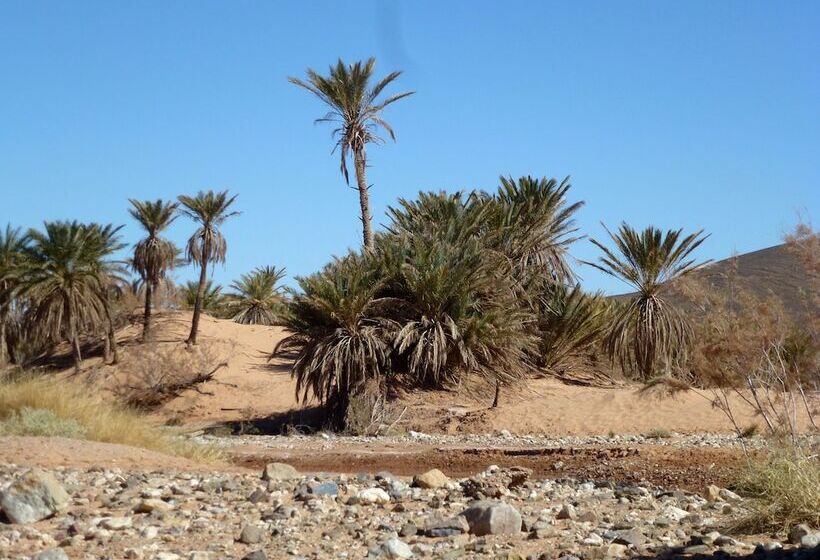Bed and Breakfast La Vallée Des Dunes   Auberge, Bivouacs Et Excursions