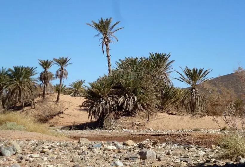 تختخواب و صبحانه La Vallée Des Dunes Auberge, Bivouacs Et Excursions
