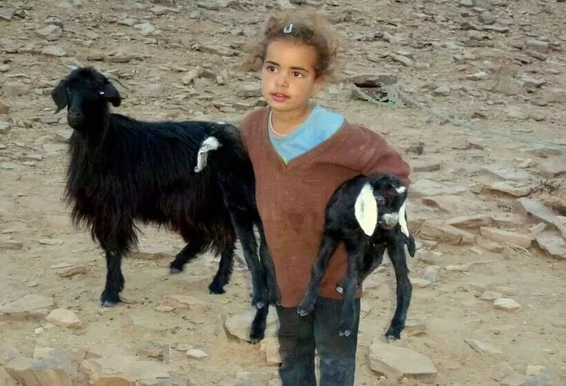 تختخواب و صبحانه La Vallée Des Dunes Auberge, Bivouacs Et Excursions