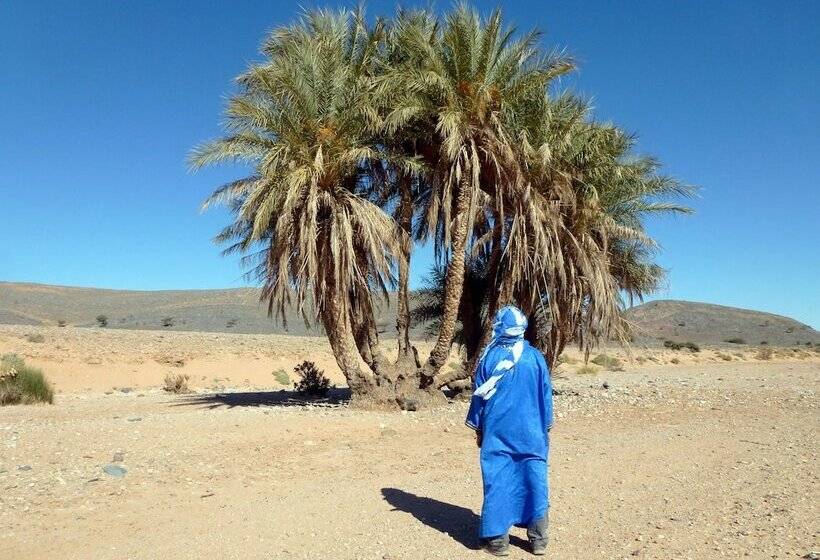 Bed and Breakfast La Vallée Des Dunes   Auberge, Bivouacs Et Excursions