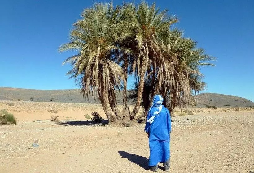 تختخواب و صبحانه La Vallée Des Dunes Auberge, Bivouacs Et Excursions