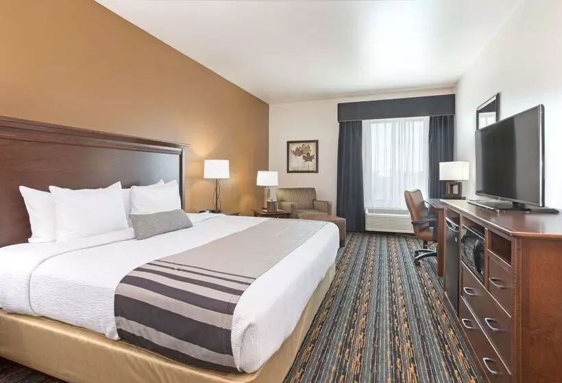 هتل Best Western Plus Lincoln Inn & Suites