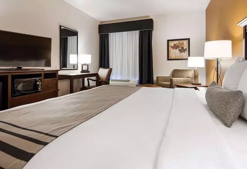 هتل Best Western Plus Lincoln Inn & Suites