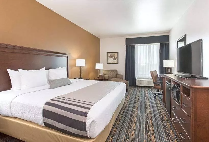 هتل Best Western Plus Lincoln Inn & Suites