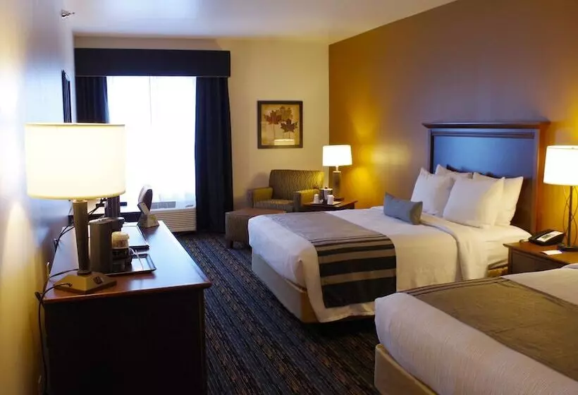 هتل Best Western Plus Lincoln Inn & Suites