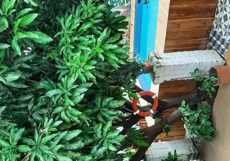 בית מלון כפרי Boutique Casa De Los Santos Reyes Valledupar