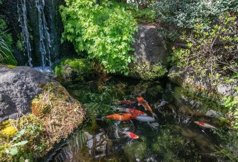 ホテル Tabist Fuji Inn Ohashi Fujikawaguchiko