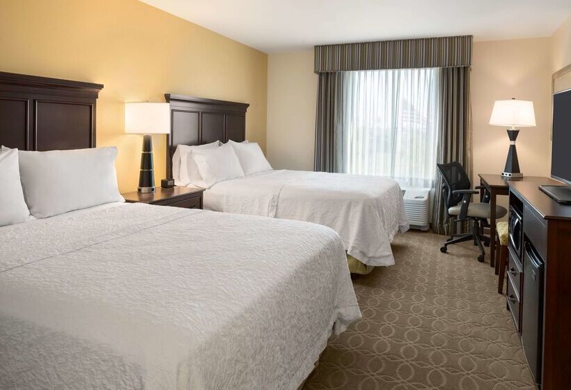 ホテル Hampton Inn & Suites Corpus Christi