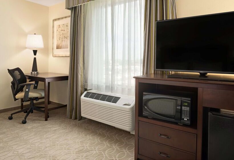 ホテル Hampton Inn & Suites Corpus Christi