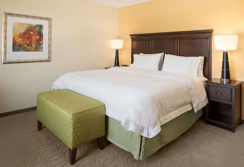 ホテル Hampton Inn & Suites Corpus Christi